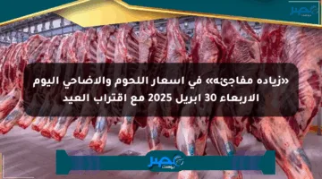 «زيادة مفاجئة» في أسعار اللحوم والأضاحي اليوم الأربعاء 30 أبريل 2025 مع اقتراب العيد